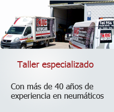 taller especializado